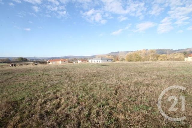 Terrain à vendre - 3000 m2 - St Quintin Sur Sioule - 63 - AUVERGNE